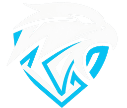 Sovereign Skies Defense logo